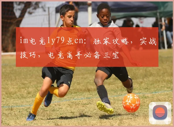 im电竞ly79点cn：独家攻略，实战技巧，电竞高手必备三宝