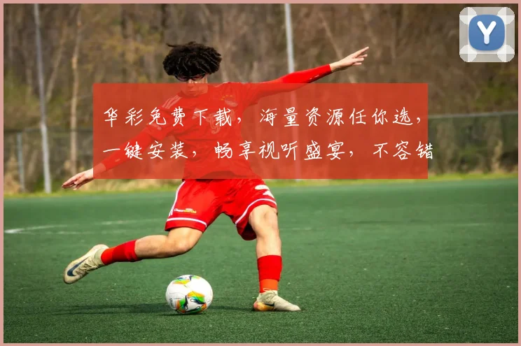 华彩免费下载，海量资源任你选，一键安装，畅享视听盛宴，不容错过，快来体验