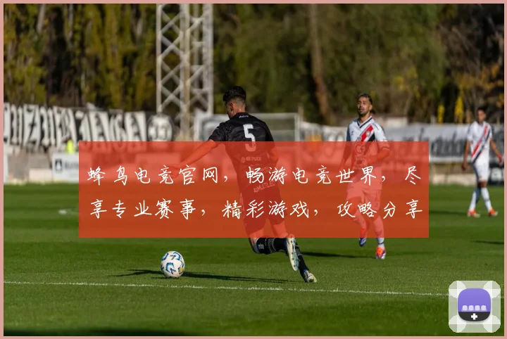 蜂鸟电竞官网，畅游电竞世界，尽享专业赛事，精彩游戏，攻略分享，一网打尽