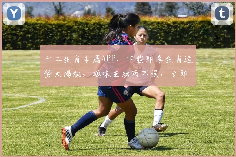 十二生肖专属APP，下载即享生肖运势大揭秘，趣味互动两不误，立即下载体验