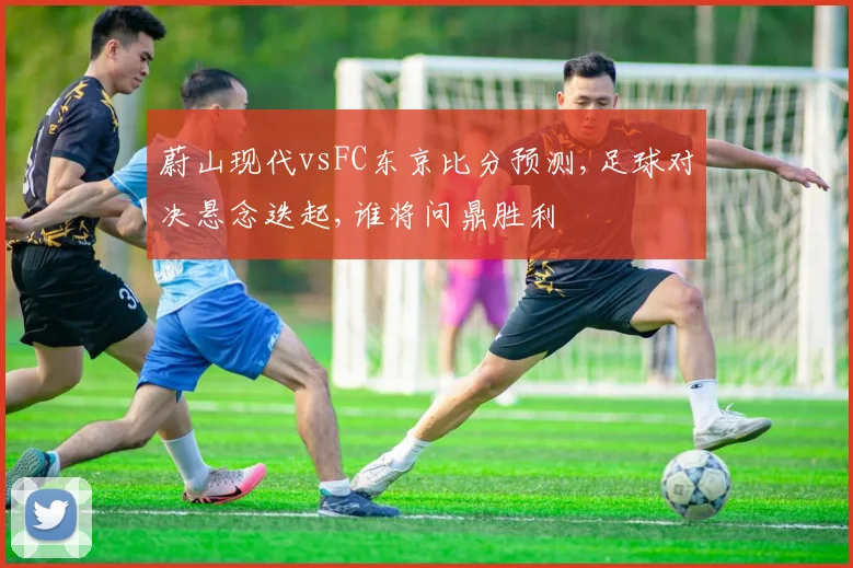蔚山现代vsFC东京比分预测,足球对决悬念迭起,谁将问鼎胜利