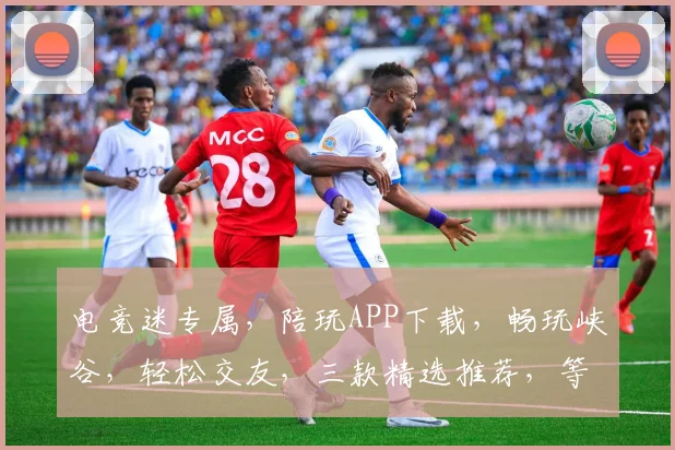 电竞迷专属，陪玩APP下载，畅玩峡谷，轻松交友，三款精选推荐，等你来体验
