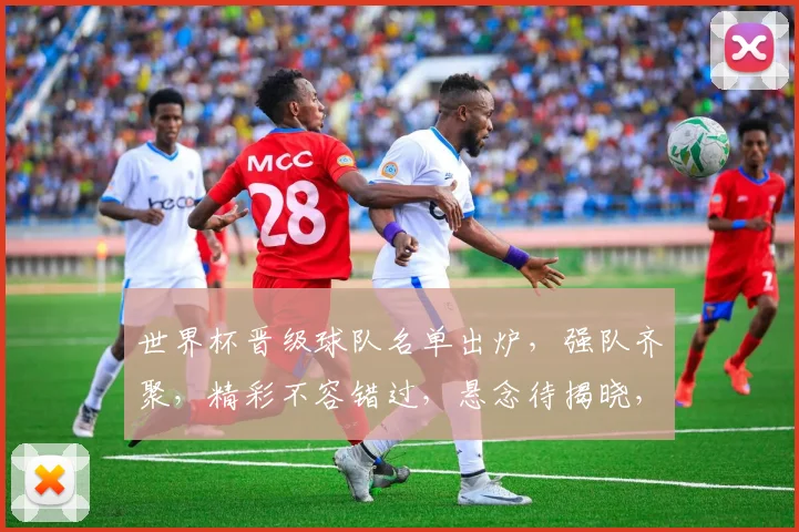 世界杯晋级球队名单出炉，强队齐聚，精彩不容错过，悬念待揭晓，谁将笑到最后
