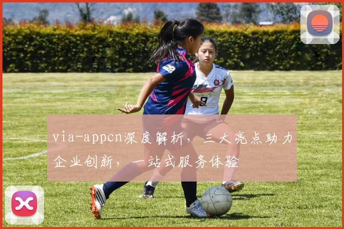 via-appcn深度解析，三大亮点助力企业创新，一站式服务体验