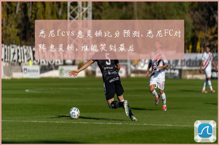 悉尼fcvs惠灵顿比分预测,悉尼FC对阵惠灵顿,谁能笑到最后