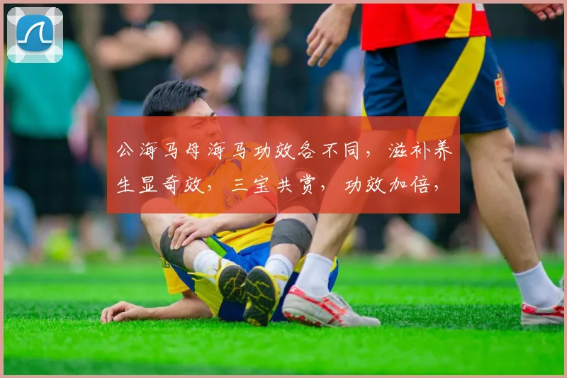 公海马母海马功效各不同，滋补养生显奇效，三宝共赏，功效加倍，养生首选。